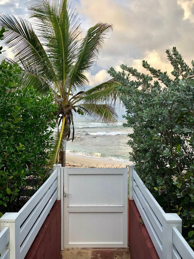 Appartement Au Bord De L'Eau Le Moule Bagian luar foto
